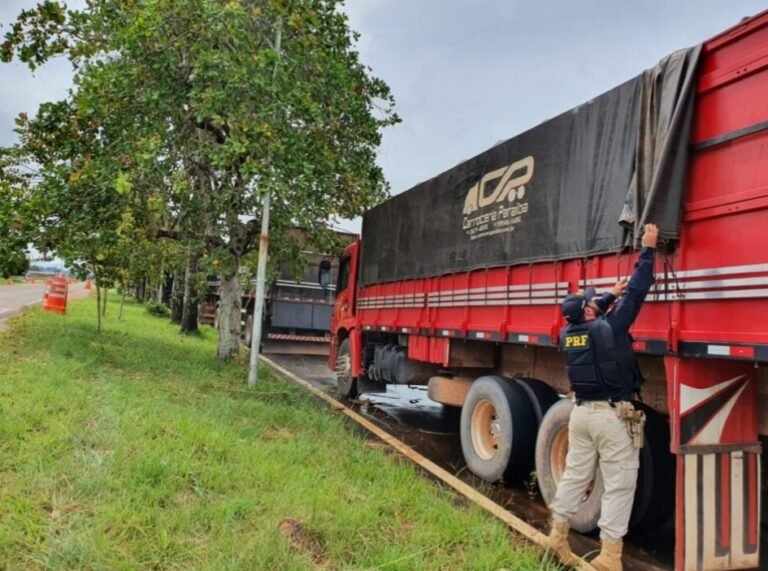 Mais de 100m³ de madeira são apreendidos pela PRF na BR-230, em Vitória do Xingu, no PA