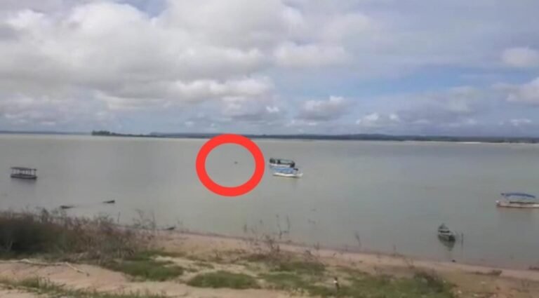 Vídeo: Policiais Militares salvam mulher de afogamento no Município de Aveiro, no PA