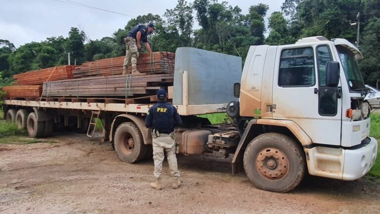 PRF apreende carga de madeira que estava sendo transportada irregularmente na PA-370, em Santarém