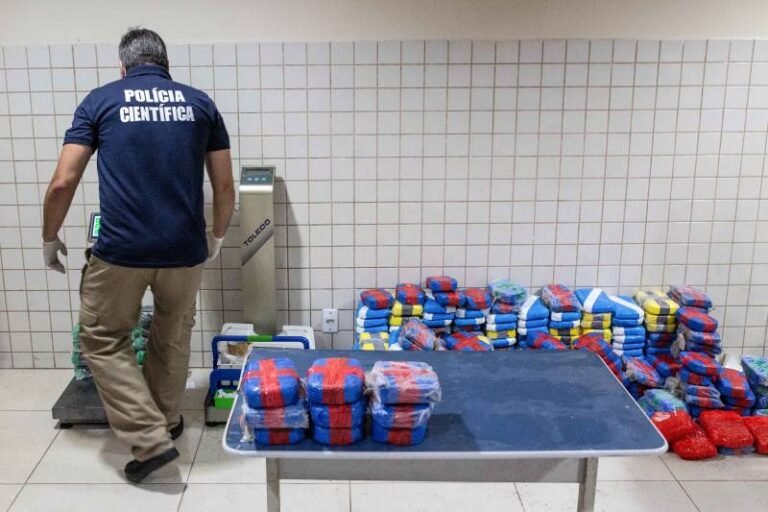 Policia apreendeu mais de 23 toneladas de drogas nos últimos três anos no Pará