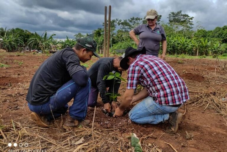 Com criação da 27ª Unidade de Conservação, IDEFLOR-Bio avança com ações voltadas à preservação