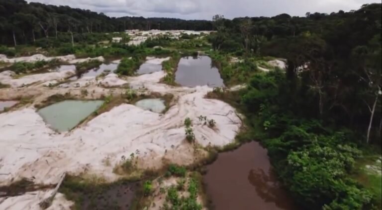 Fantástico mostra detalhes da operação realizada pela PF em garimpos do município de Jacareacanga