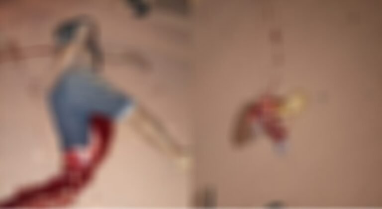 Homem tem membros decepados e cabeça amassada em grave acidente na BR 230