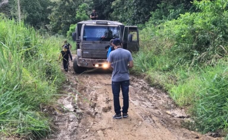 SEMMA realiza apreensão de madeira em Altamira