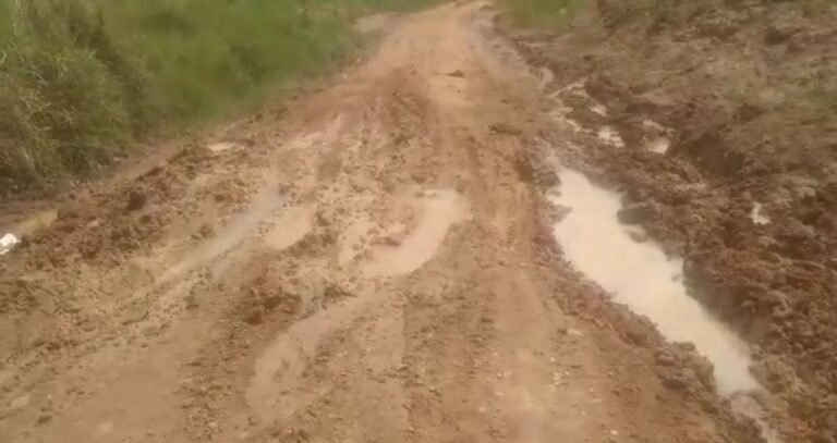 Atoleiros em comunidades rurais de Itaituba que impediam o acessos dos alunos a escola são alvo de denuncias