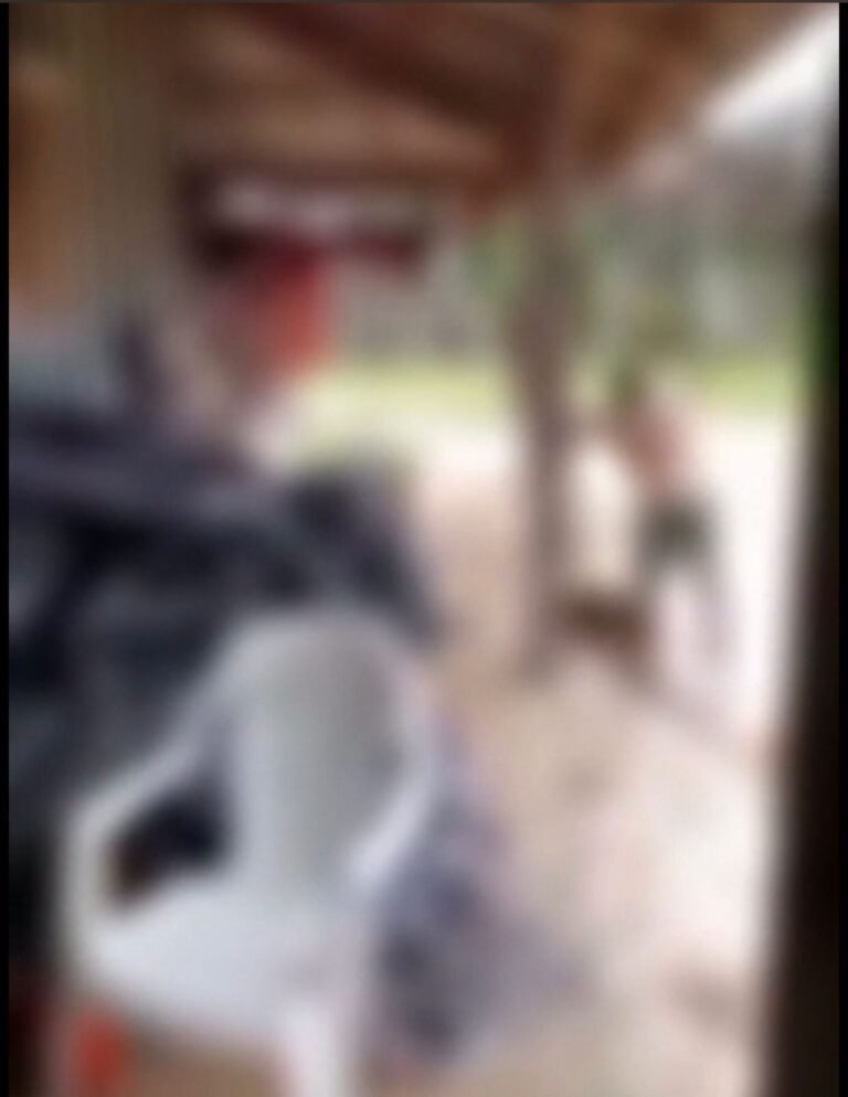 Vídeo: Homem mata cão a pauladas após o animal cruzar com sua cadela