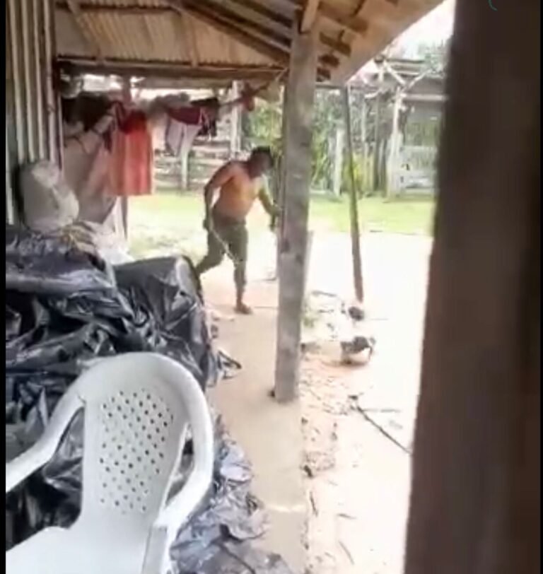 Segue a recompensa de 27 mil reais para que ajudar a localizar o assassino do cachorro em Itaituba