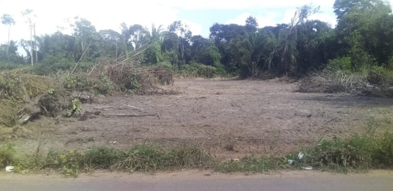 Bairro Maria Magdalena deve ganhar escola de ensino fundamental