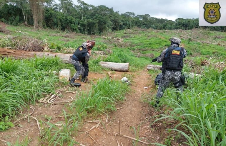 Polícia Federal deflagrou nesta sexta-feira mais uma etapa da operação Guardiões do Bioma