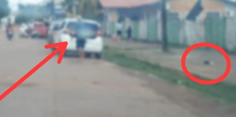 Idoso joga animal morto em passarela de Escola no Bairro Bela Vista em Itaituba