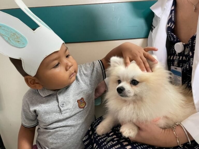 Hospital Regional do Baixo Amazonas celebra a Páscoa com PET Terapia e entrega de chocolates