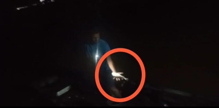 Moradores da Vila Nova registram grande quantidade de peixes mortos no Rio Tapajós em Itaituba, no PA