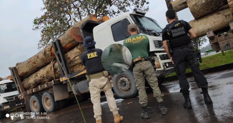 Vídeo: Superintendência da Polícia Federal no Estado do Pará deflagrou a Operação Madeira da Noite