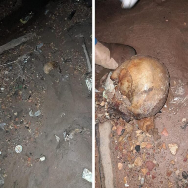 Crânio humano é encontrado em riacho na entrada leste da cidade de Uruará