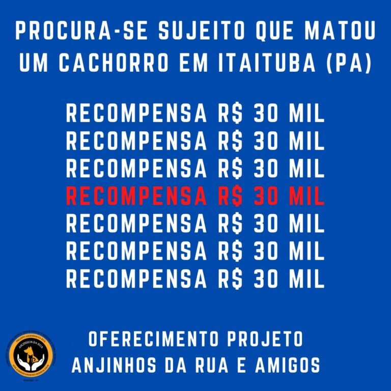 Sobe para 30 mil reais a recompensa para quem localizar homem que matou cão a pauladas em Itaituba