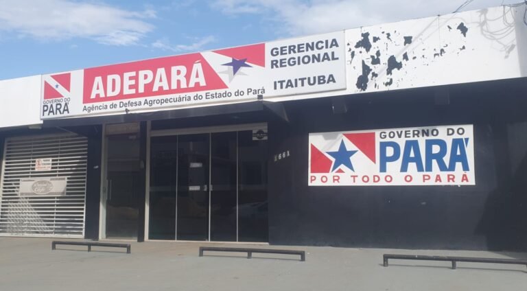 ADEPARÁ de Itaituba iniciou campanha de vacinação contra febre aftosa