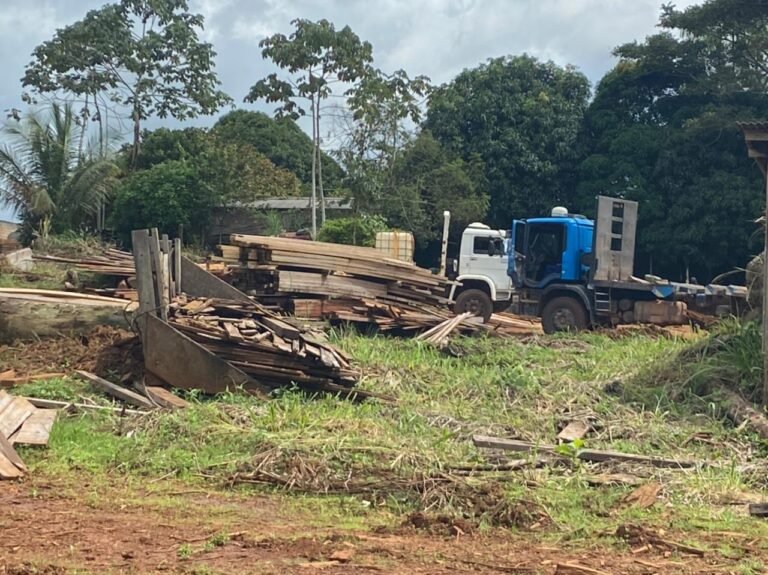 Operação Guardiões do Bioma reprime crimes contra o meio ambiente na região Xingu