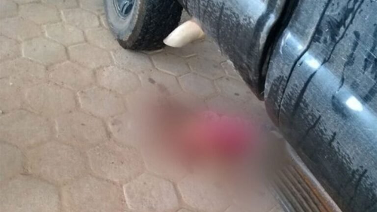 Casal é executado na frente de bebê sudeste do Pará