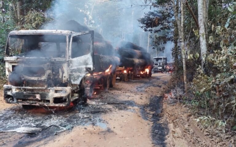 Forças de segurança realizam nova ação contra garimpo ilegal em Jacareacanga, no PA