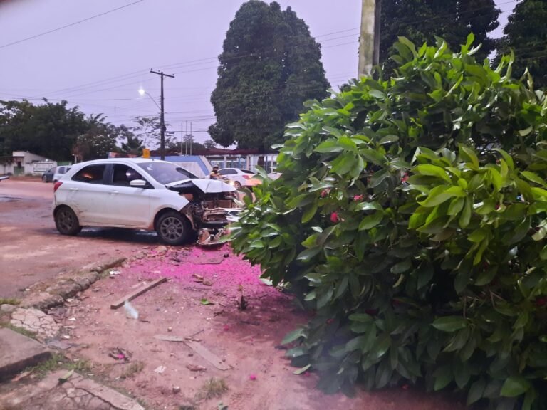 Motorista derruba árvore em frente à Secretaria de Saúde em Itaituba PA