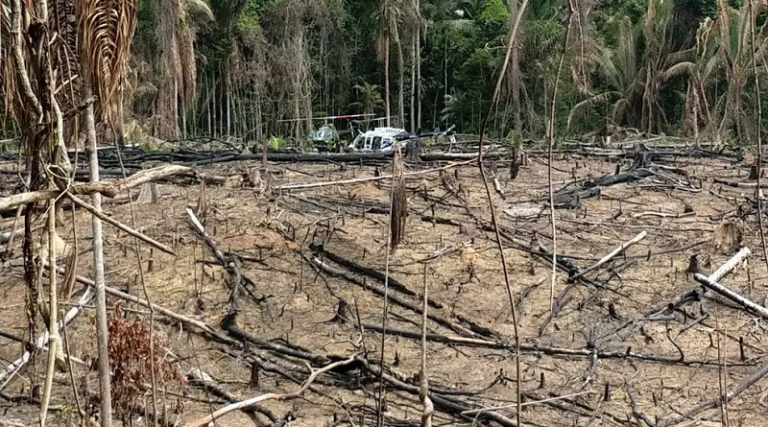 PF, Funai, Ibama e Força Nacional fazem operação de combate a garimpo ilegal e desmatamento, no Pará