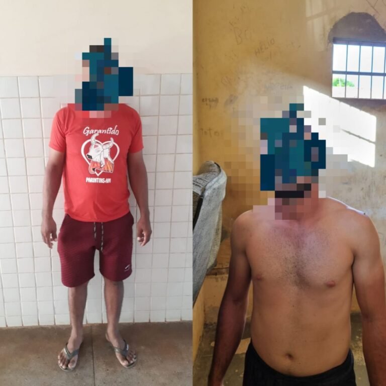 Dupla é presa por suspeita de furto de gado em Placas PA