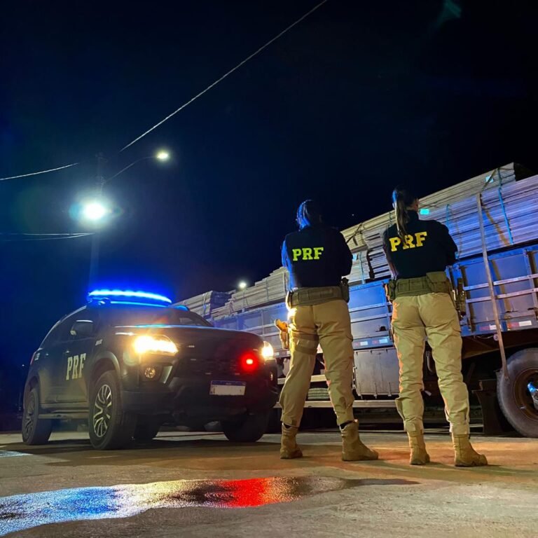 PRF apreende madeira sendo transportada de forma irregular na BR 163