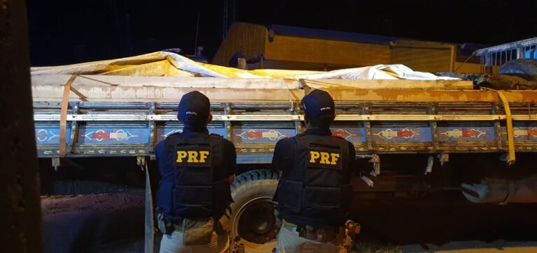 PRF apreende madeira sendo transportada irregularmente na BR 163 em Santarém 