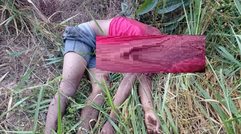 Homem é encontrado com garganta cortada na área rural de Novo Progresso PA