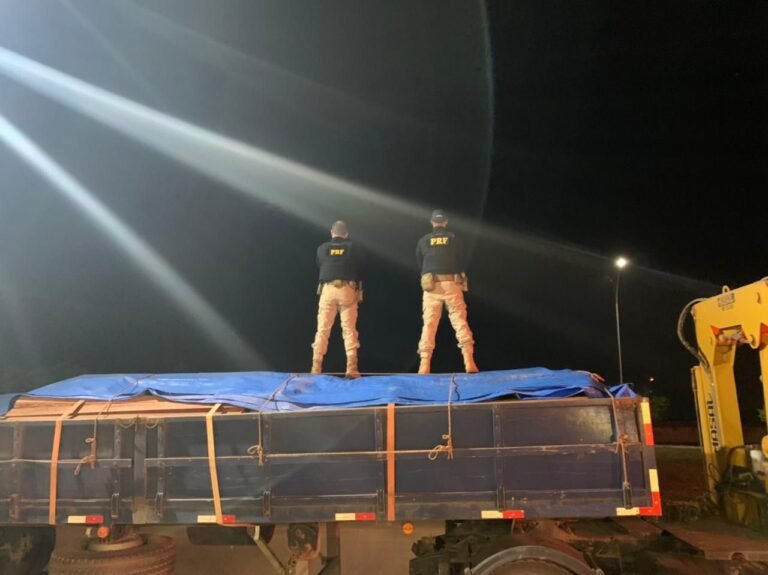 PRF apreende madeira em transporte irregular na BR 230