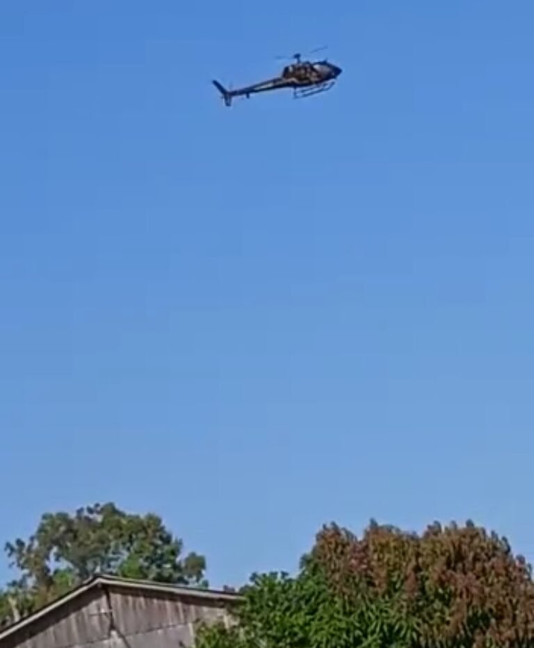 Vídeo: Forças Policiais sobrevoam região de garimpo Água Branca em Itaituba no PA