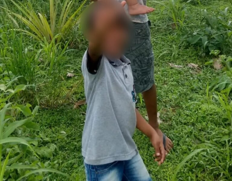 Criança é atacada e morta por onça em área rural de Brasil Novo PA