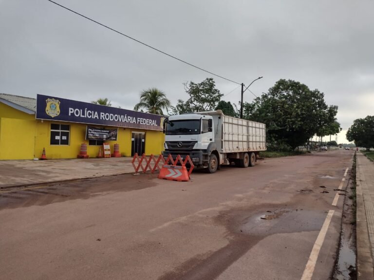 Madeira ilegal é Apreendida no Porto da Balsa em Miritituba