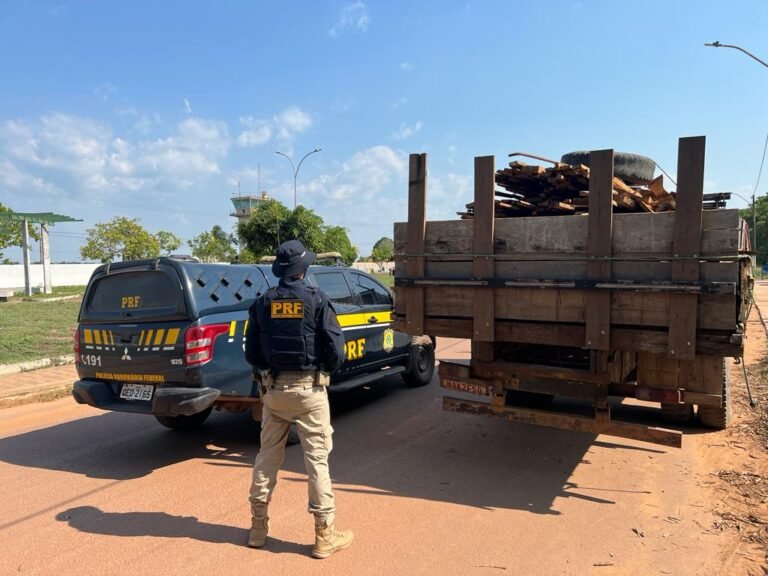 Madeira ilegal é apreendida em fiscalização da PRF na BR 230