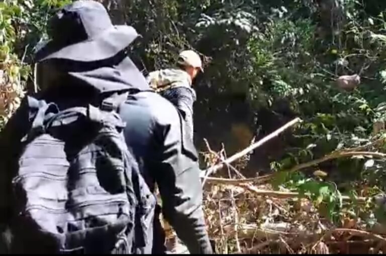 PF retira madeireiros, pecuaristas e grileiros de Terra Indígena Trincheira Bacajá, no Pará