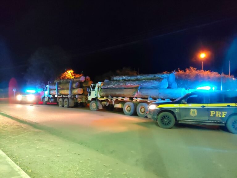 PRF flagra transporte irregular de madeira na BR-163 e apreende dois caminhões