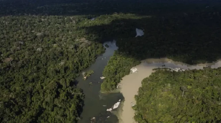 Garimpo ilegal de ouro divide terra indígena Baú dos indígenas kayapó mekrãgnoti em Novo Progresso