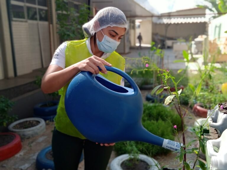 No Regional de Marabá, horta hospitalar contribui para segurança alimentar de pacientes