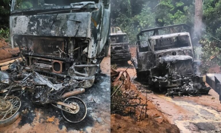 Órgão Federal destrói vários veículos madeireiros em Trairão, no PA