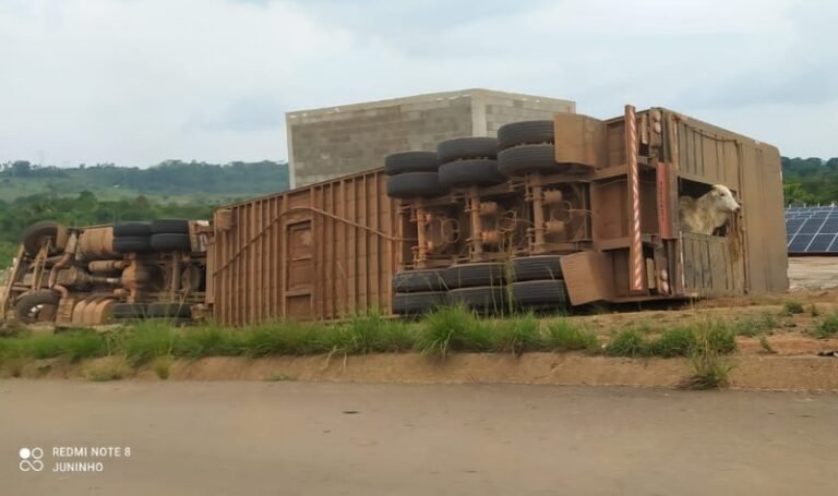 Vídeo: Motorista morre após acidente com caminhão próximo de Brasil Novo, no PA