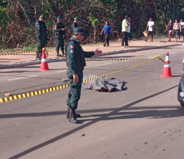 Idoso cai na frente de ônibus, é atropelado e morre na rodovia Fernando Guilhon em Santarém, no PA