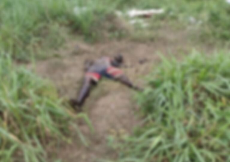 Corpo é encontrado em área de mata em Itaituba, no PA