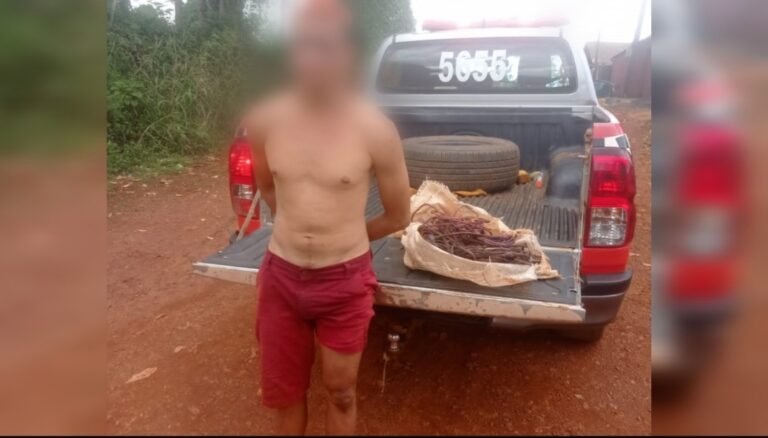 Ladrão de fios é preso pela PM em Medicilândia, no PA