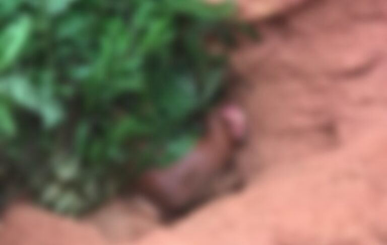 Corpo é encontrado próximo a comunidade de Cuiú-Cuiú