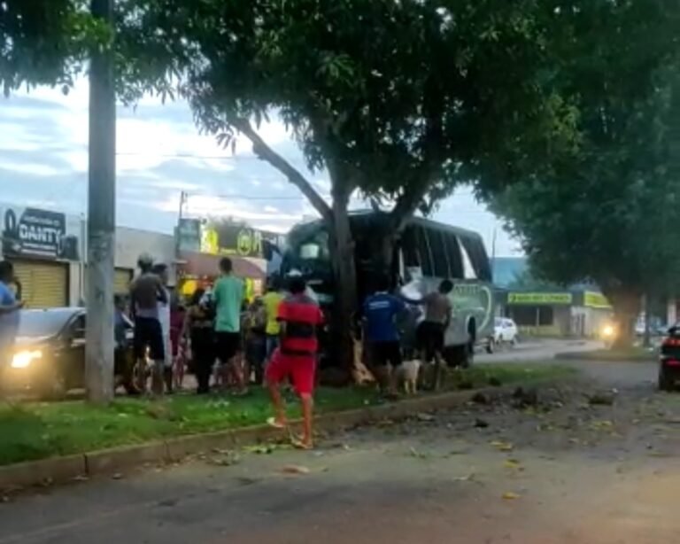 Vídeo: Motorista morre em acidente na perimentral em Altamira, no PA