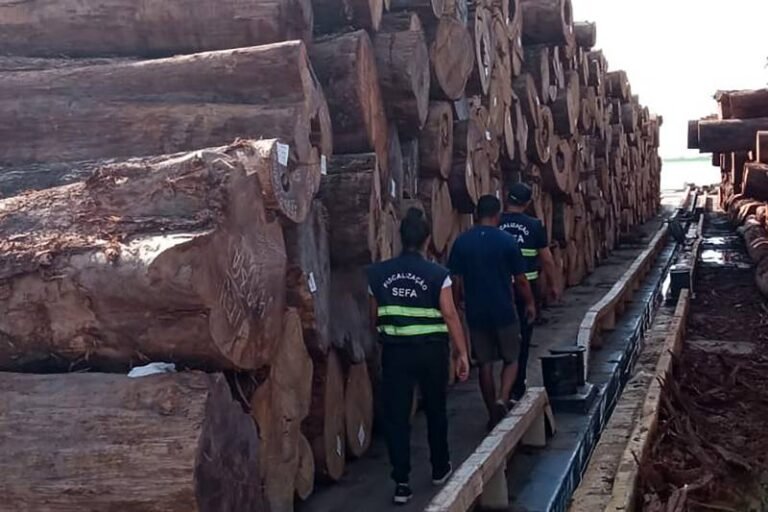 Sefa apreende mais de 2.246 metros cúbicos de madeira