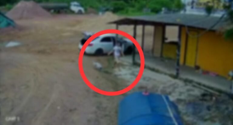 Vídeo: Casal é flagrado abandonando animal na sede da ONG o Sol Nasce para Todos em Itaituba, no PA