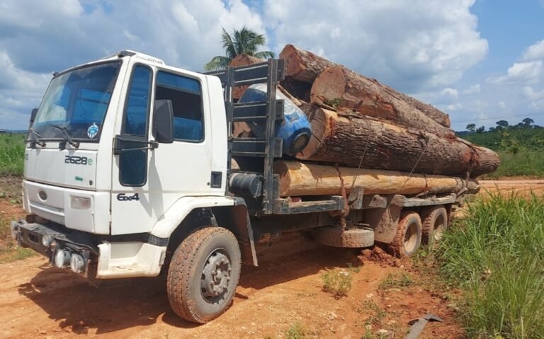 PRF apreende 27 m³ de madeira ilegal em Uruará, no PA