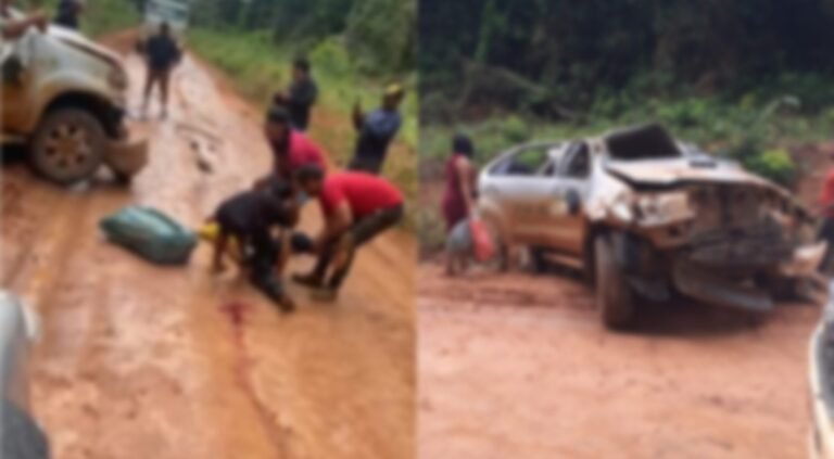 Vídeo: Caminhonete capota na BR-230 entre Itaituba e Jacareacanga