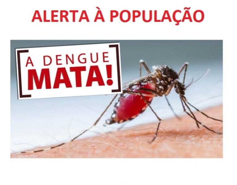 Infectologista alerta sobre o aumento do número de casos de dengue
